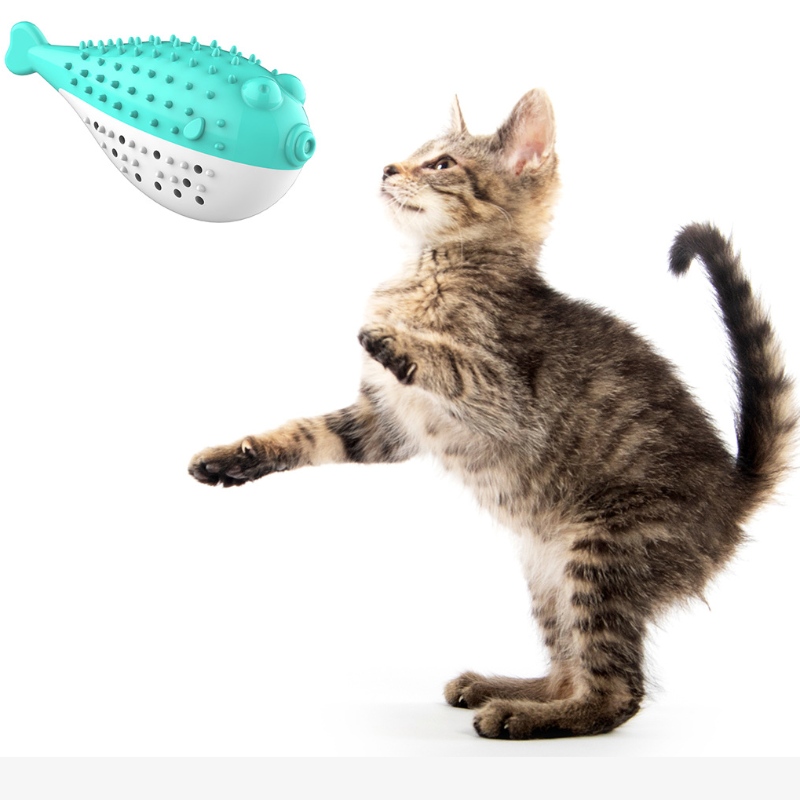 Furjoyz tukku Funny lemmikki lelut hammasharja vuorovaikutteinen lelu kannettava kissa älykäs puhdas hampaiden kumi catnip kissan lelu