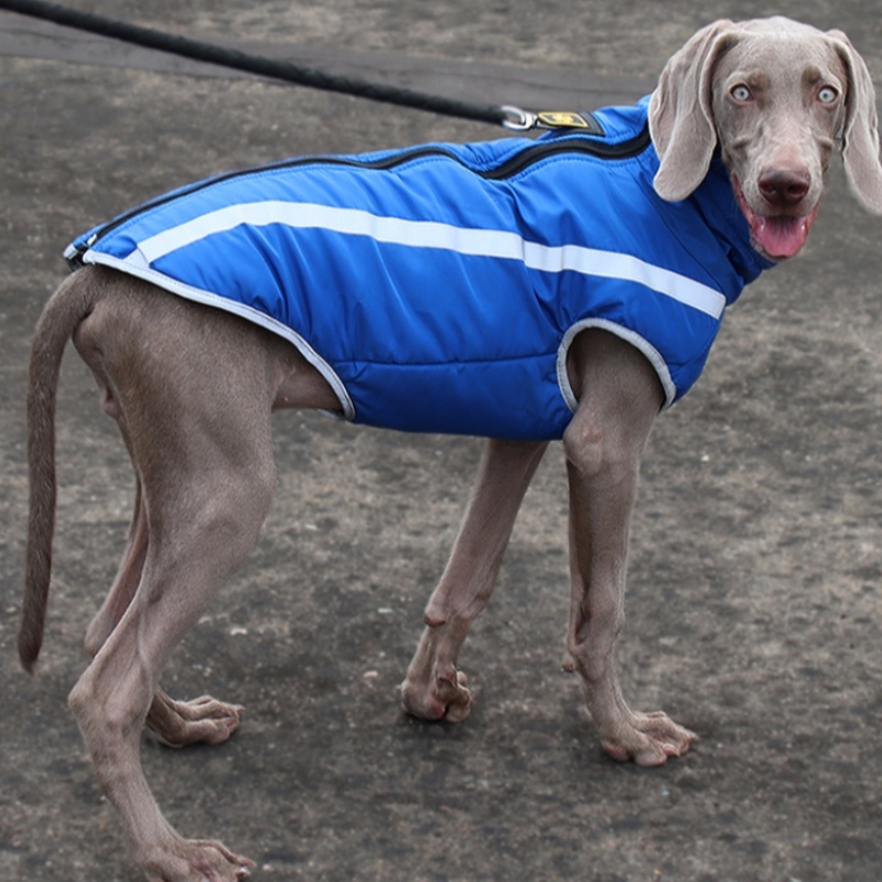Valmistaja Tukkukauppa Ulkona Cool Style Erittäin heijastavat langat koira takki vedenpitävät takit