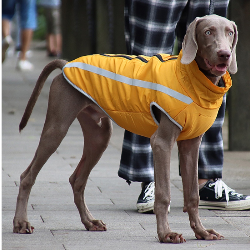 Alhainen MOQ Kustannukset Edullinen Klassinen versio Dog Rain Jacket Koiran vaatteet