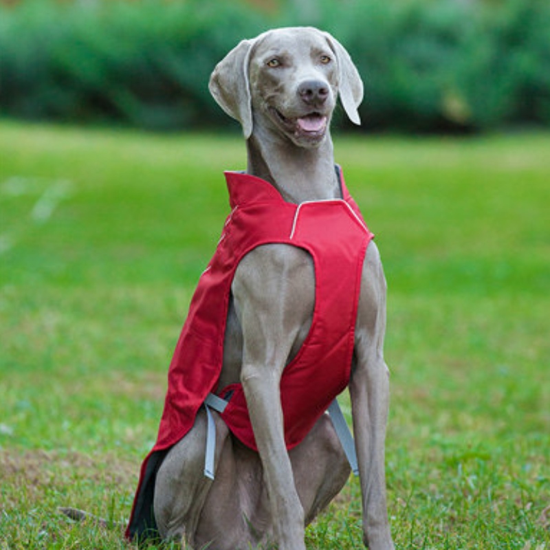 Klassinen tyyli heijastava koira takki vedenpitävä säädettävä Winter Dog Jacket Reversible Kevyt