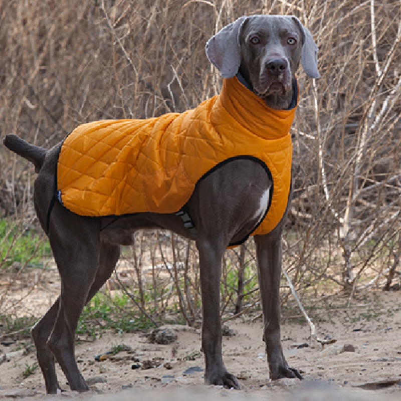 Amazon Hot Sale Uusi lemmikki vaatteet koiran vaatteet syksy ja talvi paksuuntunut joustava villapaita Pet villapaita